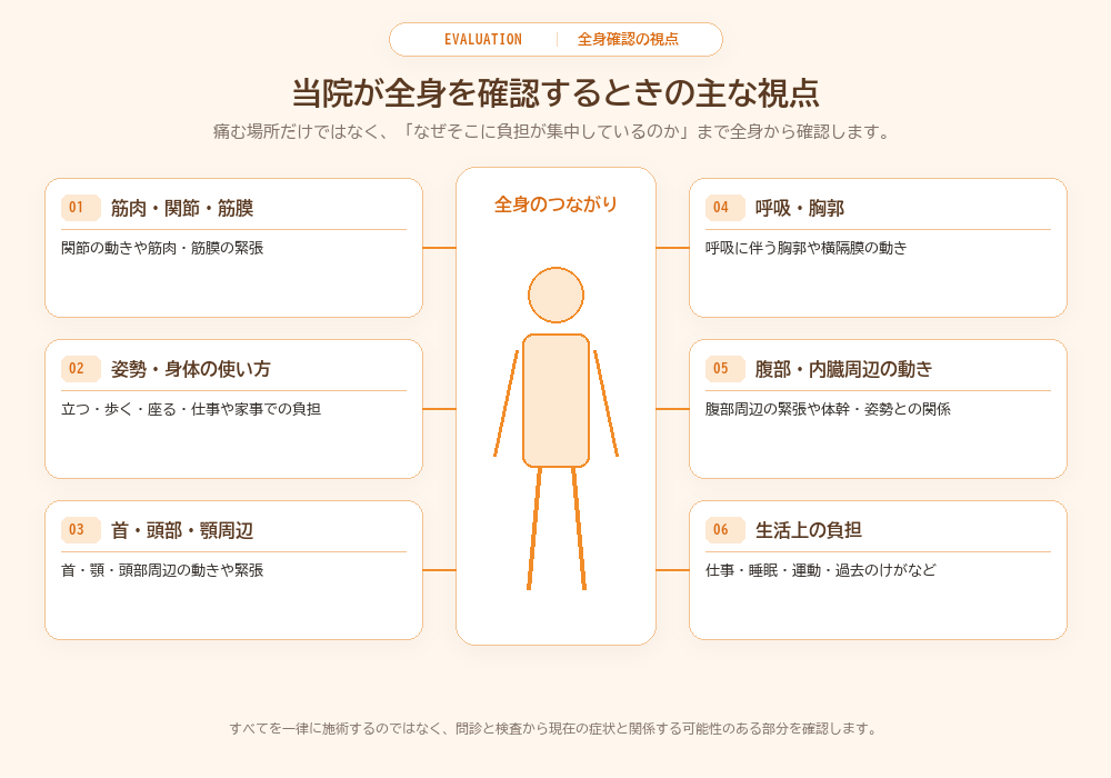 当院が全身を確認するときの主な視点|筋肉・関節・姿勢・身体の使い方・生活上の負担