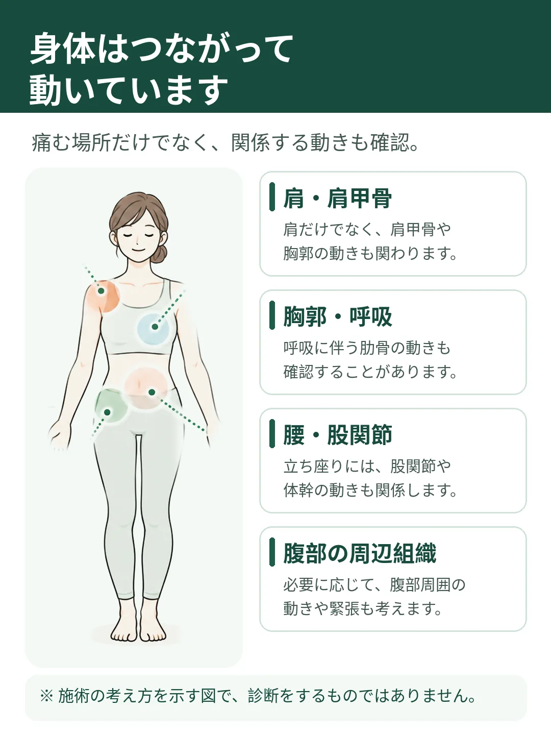 身体のつながりと動きの図。肩・肩甲骨、胸郭、股関節、腹部周辺を含めて身体全体の動きを確認する考え方を示しています。