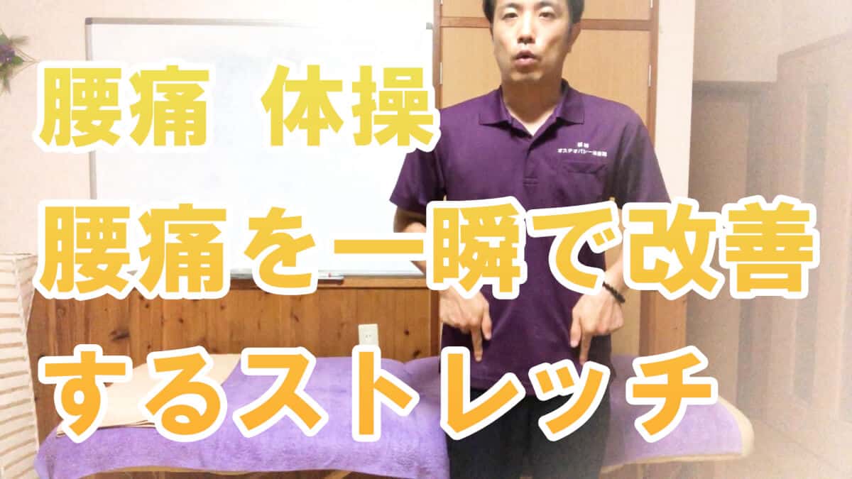【腰痛 体操】腰痛を一瞬で改善するストレッチ