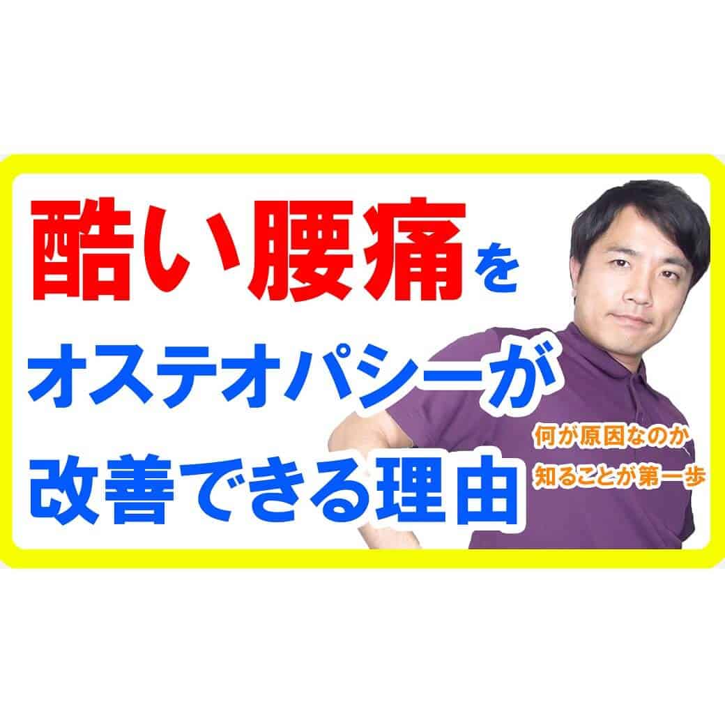 都城で腰痛改善なら！理学療法士が教える内臓と関節の根本原因